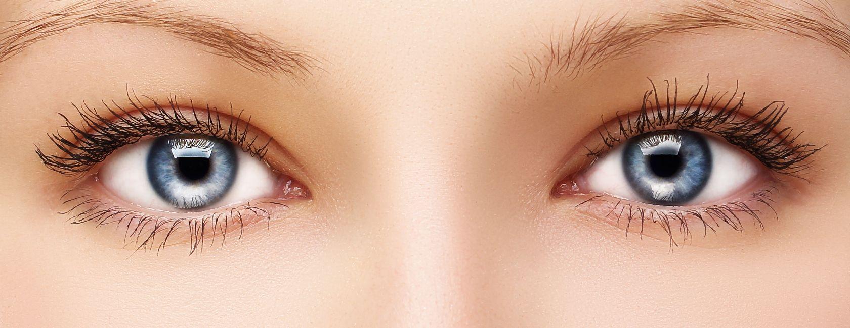 Lentilles